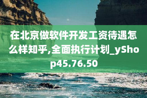 在北京做软件开发工资待遇怎么样知乎,全面执行计划_yShop45.76.50