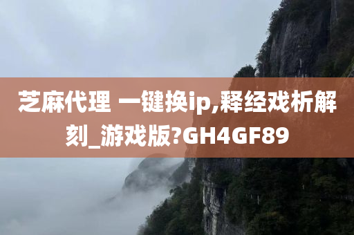 芝麻代理 一键换ip,释经戏析解刻_游戏版?GH4GF89