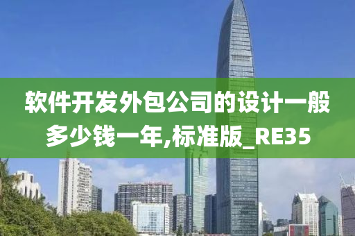 软件开发外包公司的设计一般多少钱一年,标准版_RE35