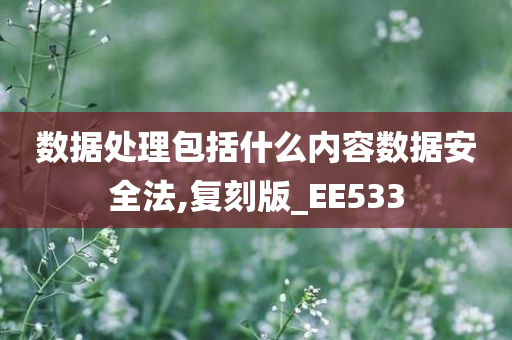 数据处理包括什么内容数据安全法,复刻版_EE533