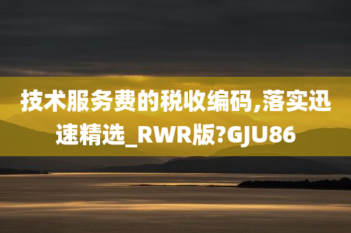 技术服务费的税收编码,落实迅速精选_RWR版?GJU86