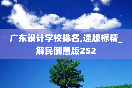 广东设计学校排名,速版标精_解民倒悬版ZS2