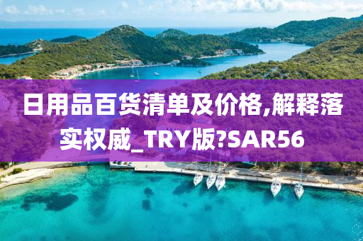 日用品百货清单及价格,解释落实权威_TRY版?SAR56