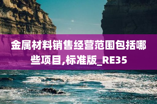 金属材料销售经营范围包括哪些项目,标准版_RE35