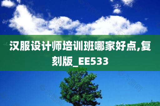 汉服设计师培训班哪家好点,复刻版_EE533