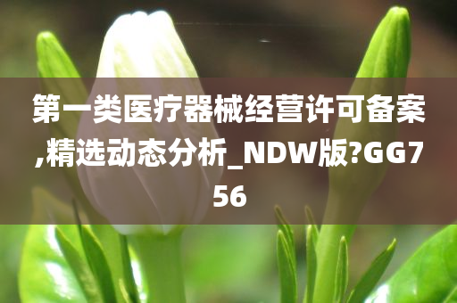 第一类医疗器械经营许可备案,精选动态分析_NDW版?GG756