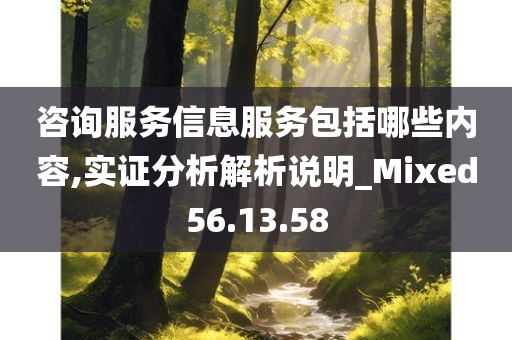 咨询服务信息服务包括哪些内容,实证分析解析说明_Mixed56.13.58