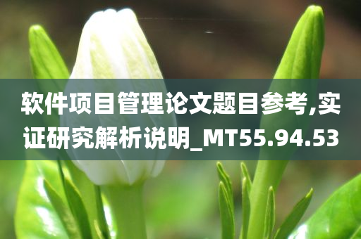 软件项目管理论文题目参考,实证研究解析说明_MT55.94.53