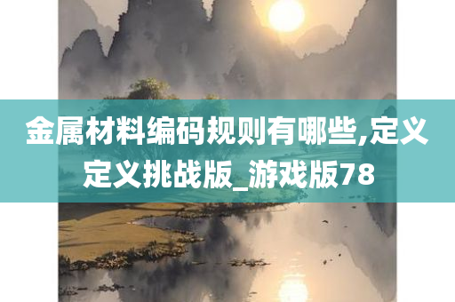 金属材料编码规则有哪些,定义定义挑战版_游戏版78