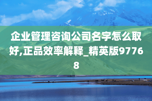 企业管理咨询公司名字怎么取好,正品效率解释_精英版97768