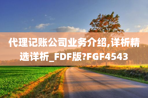 代理记账公司业务介绍,详析精选详析_FDF版?FGF4543