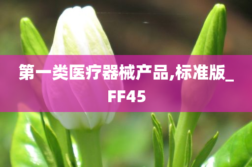 第一类医疗器械产品,标准版_FF45