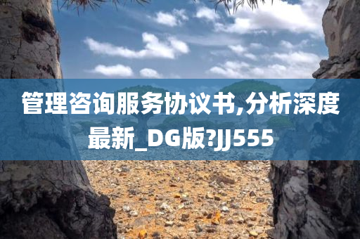 管理咨询服务协议书,分析深度最新_DG版?JJ555