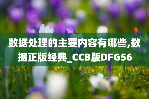 数据处理的主要内容有哪些,数据正版经典_CCB版DFG56