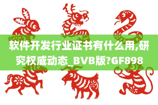 软件开发行业证书有什么用,研究权威动态_BVB版?GF898