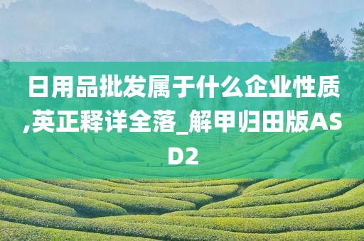 日用品批发属于什么企业性质,英正释详全落_解甲归田版ASD2