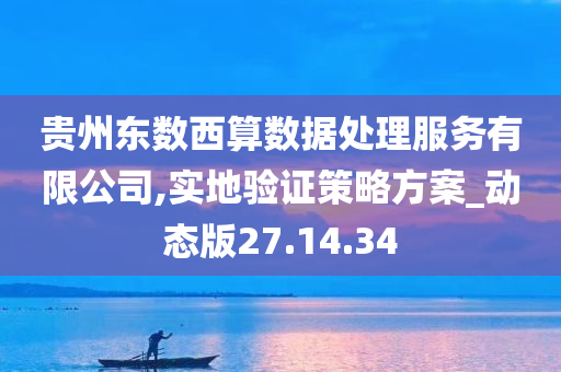 贵州东数西算数据处理服务有限公司,实地验证策略方案_动态版27.14.34