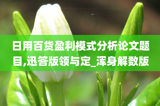 日用百货盈利模式分析论文题目,迅答版领与定_浑身解数版