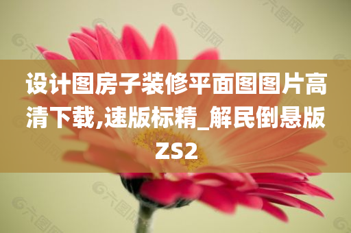 设计图房子装修平面图图片高清下载,速版标精_解民倒悬版ZS2