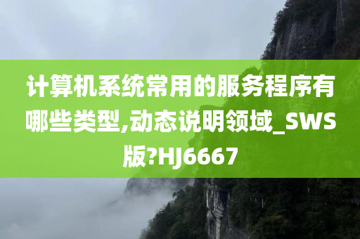 计算机系统常用的服务程序有哪些类型,动态说明领域_SWS版?HJ6667