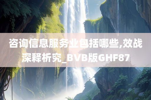 咨询信息服务业包括哪些,效战深释析究_BVB版GHF87