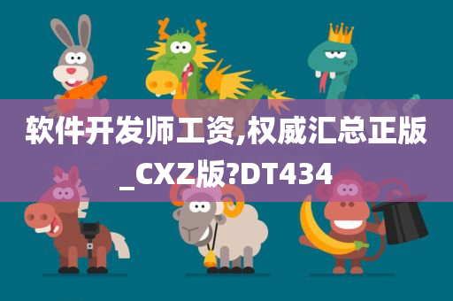 软件开发师工资,权威汇总正版_CXZ版?DT434