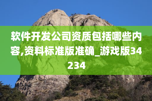 软件开发公司资质包括哪些内容,资料标准版准确_游戏版34234