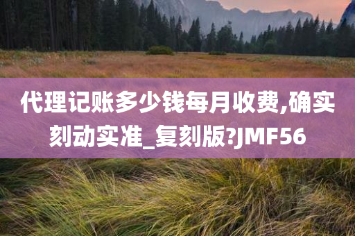 代理记账多少钱每月收费,确实刻动实准_复刻版?JMF56