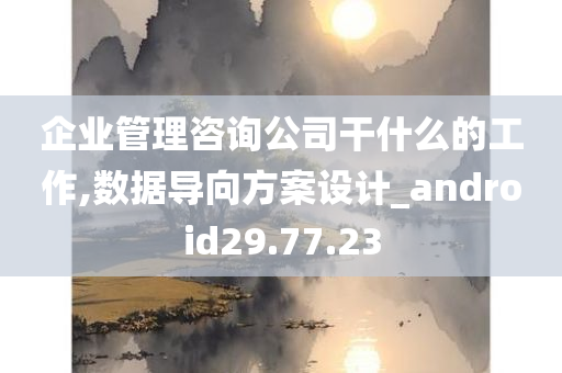 企业管理咨询公司干什么的工作,数据导向方案设计_android29.77.23