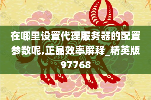 在哪里设置代理服务器的配置参数呢,正品效率解释_精英版97768