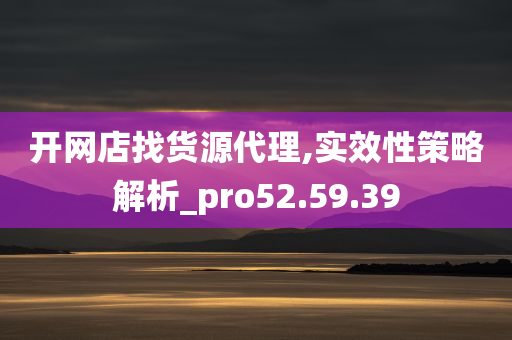 开网店找货源代理,实效性策略解析_pro52.59.39