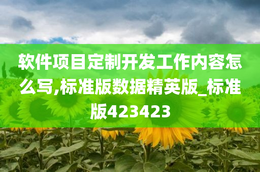 软件项目定制开发工作内容怎么写,标准版数据精英版_标准版423423