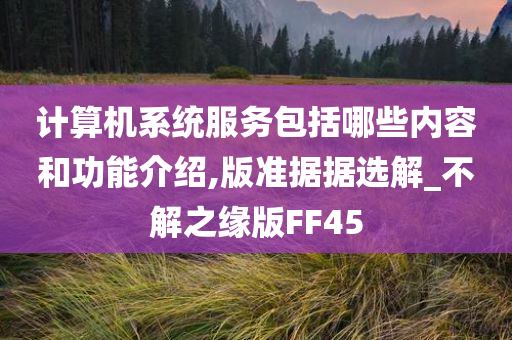 计算机系统服务包括哪些内容和功能介绍,版准据据选解_不解之缘版FF45