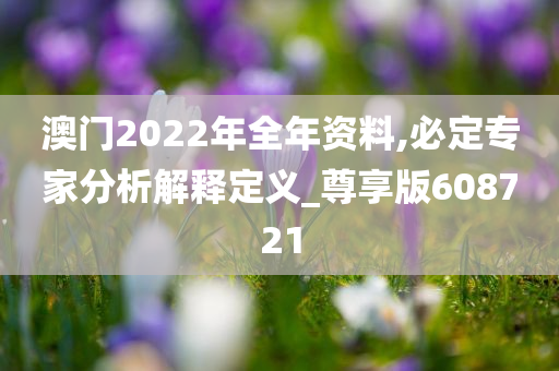 澳门2022年全年资料,必定专家分析解释定义_尊享版608721