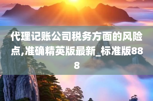 代理记账公司税务方面的风险点,准确精英版最新_标准版888