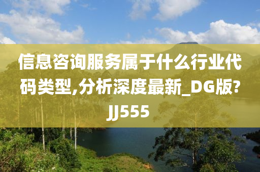 信息咨询服务属于什么行业代码类型,分析深度最新_DG版?JJ555