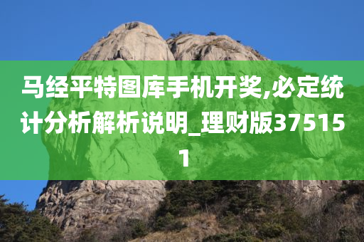 马经平特图库手机开奖,必定统计分析解析说明_理财版375151