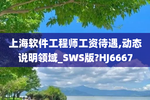 上海软件工程师工资待遇,动态说明领域_SWS版?HJ6667