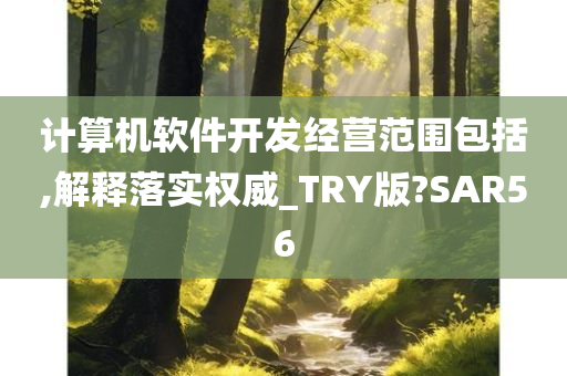 计算机软件开发经营范围包括,解释落实权威_TRY版?SAR56