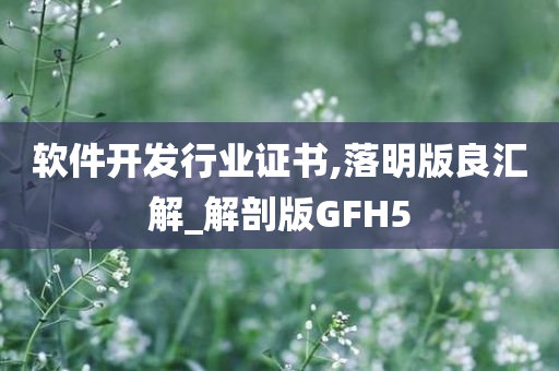 软件开发行业证书,落明版良汇解_解剖版GFH5