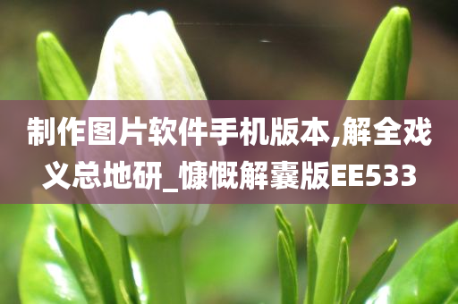 制作图片软件手机版本,解全戏义总地研_慷慨解囊版EE533