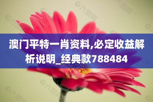 澳门平特一肖资料,必定收益解析说明_经典款788484