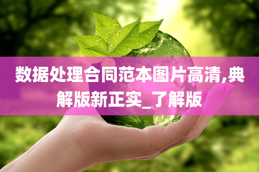 数据处理合同范本图片高清,典解版新正实_了解版