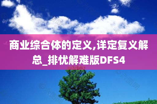 商业综合体的定义,详定复义解总_排忧解难版DFS4