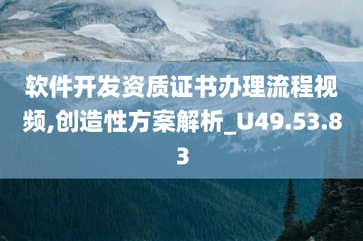 软件开发资质证书办理流程视频,创造性方案解析_U49.53.83