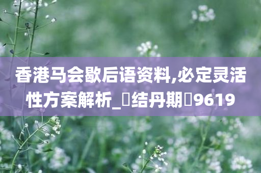 香港马会歇后语资料,必定灵活性方案解析_‌结丹期‌9619