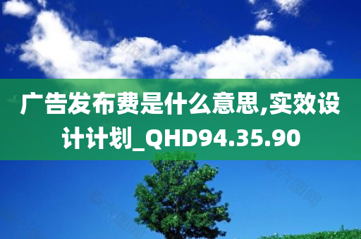 广告发布费是什么意思,实效设计计划_QHD94.35.90