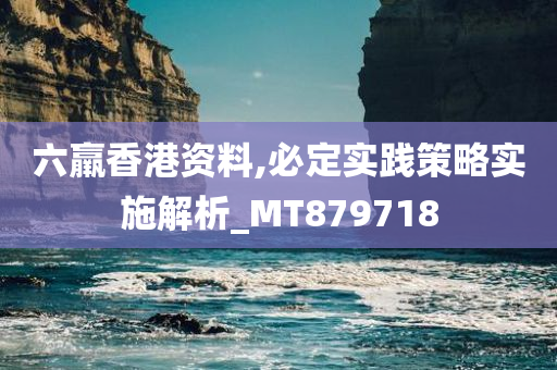 六羸香港资料,必定实践策略实施解析_MT879718