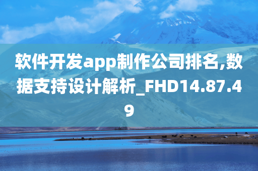 软件开发app制作公司排名,数据支持设计解析_FHD14.87.49