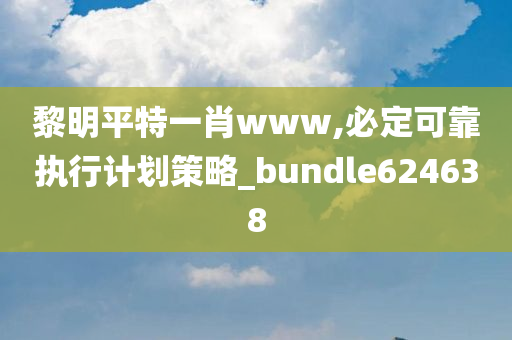 黎明平特一肖www,必定可靠执行计划策略_bundle624638